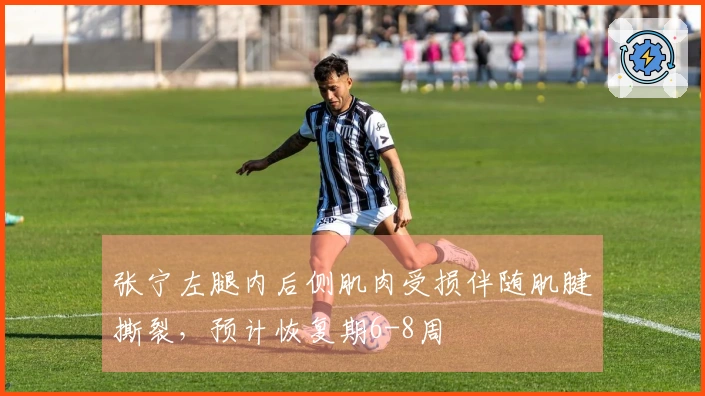 张宁左腿内后侧肌肉受损伴随肌腱撕裂，预计恢复期6-8周