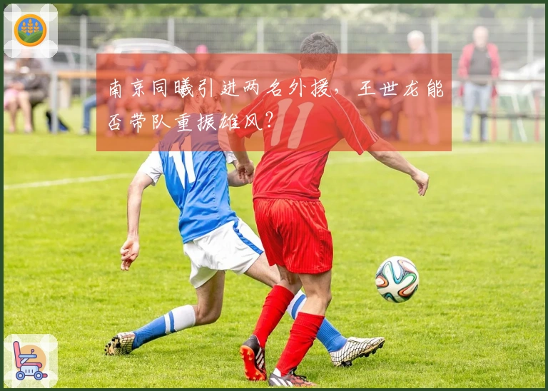 南京同曦引进两名外援，王世龙能否带队重振雄风？