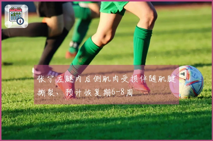 张宁左腿内后侧肌肉受损伴随肌腱撕裂，预计恢复期6-8周