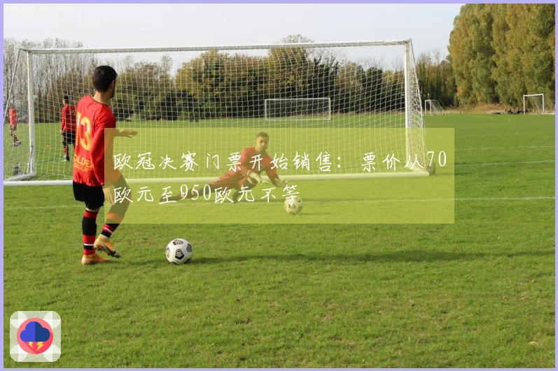 欧冠决赛门票开始销售：票价从70欧元至950欧元不等