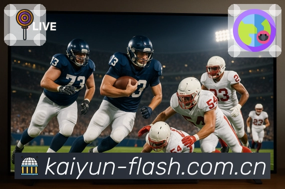 省流模式 - 清晰度与流量控制